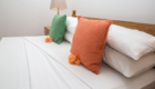MLS_bed-breakfast-accommodation-seychelles_family-room-bnb_slider_(6)