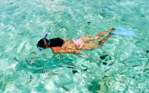 ttd_diving_snorkeling_02